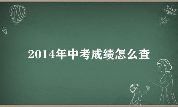 2014年中考成绩怎么查