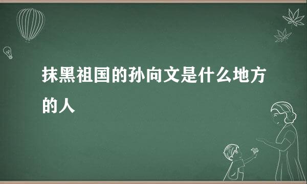 抹黑祖国的孙向文是什么地方的人