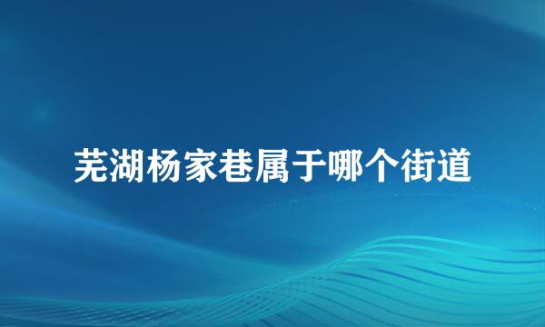 芜湖杨家巷属于哪个街道