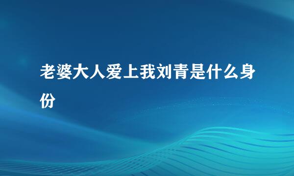 老婆大人爱上我刘青是什么身份