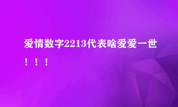 爱情数字2213代表啥爱爱一世！！！