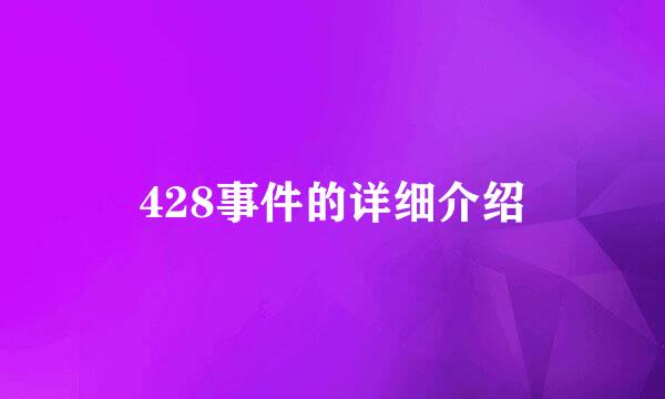 428事件的详细介绍