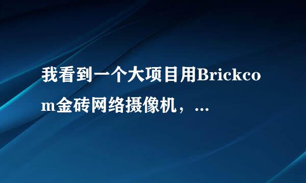 我看到一个大项目用Brickcom金砖网络摄像机，这品牌怎样？