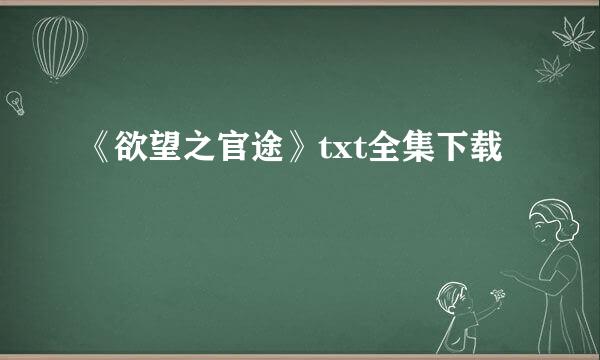 《欲望之官途》txt全集下载