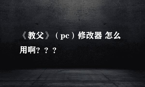 《教父》（pc）修改器 怎么用啊？？？