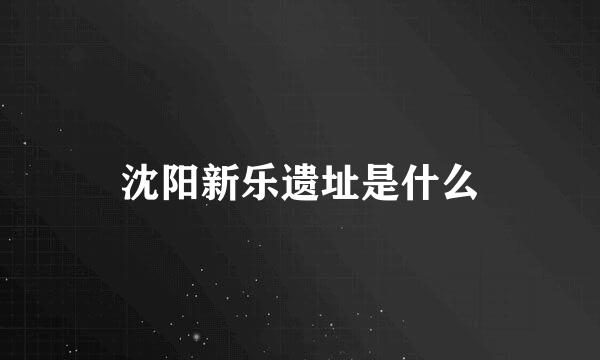 沈阳新乐遗址是什么