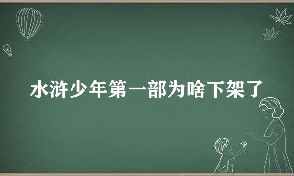 水浒少年第一部为啥下架了