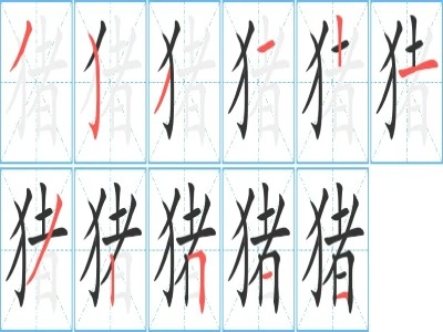 猪字的笔顺