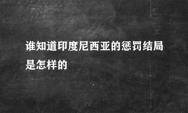 谁知道印度尼西亚的惩罚结局是怎样的