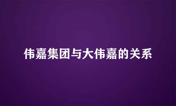 伟嘉集团与大伟嘉的关系