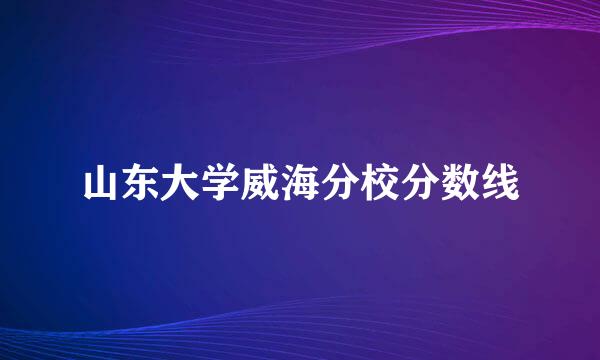 山东大学威海分校分数线