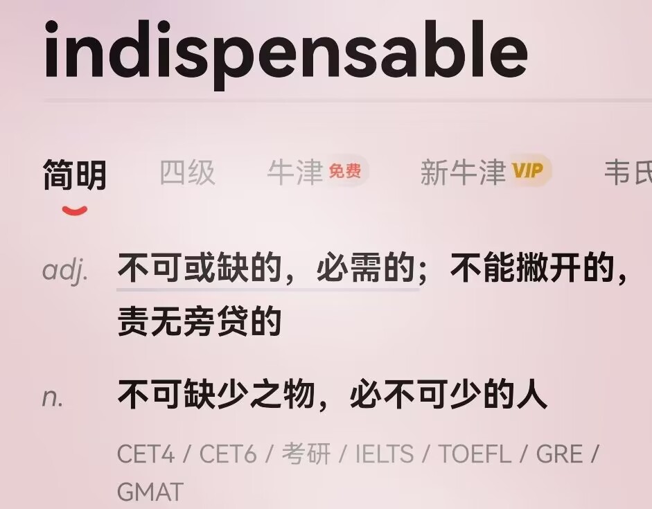 indispensable是什么意思英语