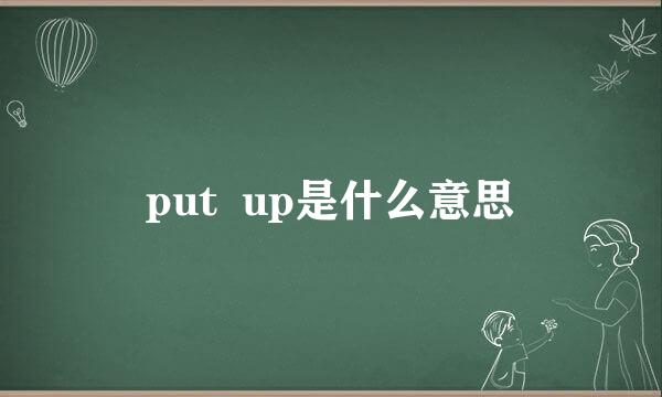 put  up是什么意思