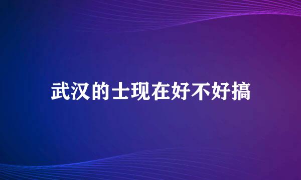 武汉的士现在好不好搞