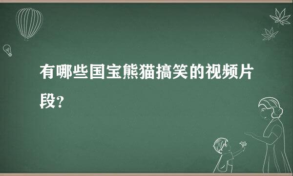 有哪些国宝熊猫搞笑的视频片段？