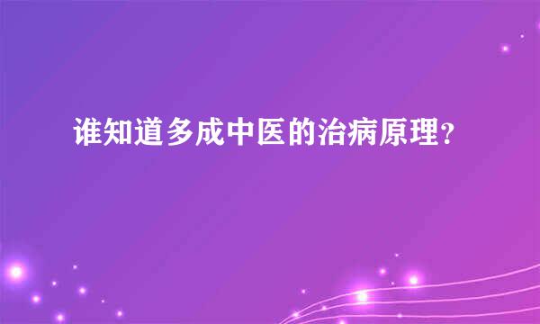 谁知道多成中医的治病原理？