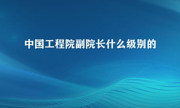 中国工程院副院长什么级别的