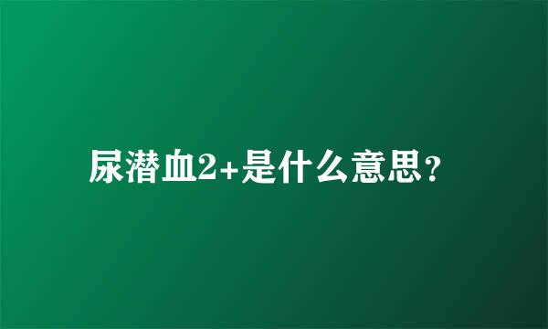 尿潜血2+是什么意思？