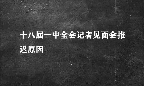 十八届一中全会记者见面会推迟原因