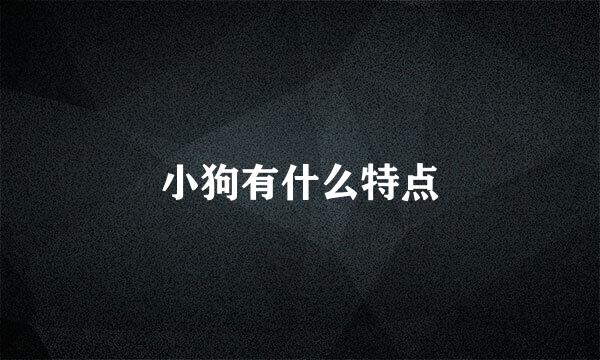 小狗有什么特点