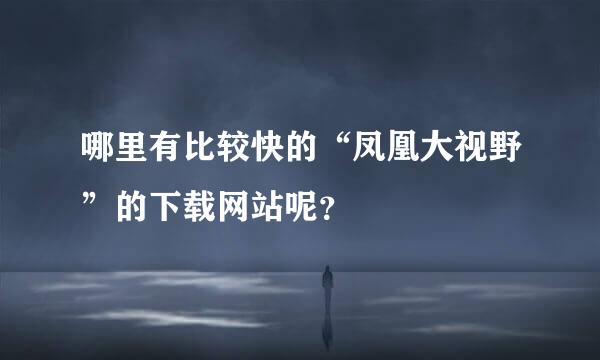 哪里有比较快的“凤凰大视野”的下载网站呢？