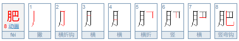 肥的笔顺怎么写