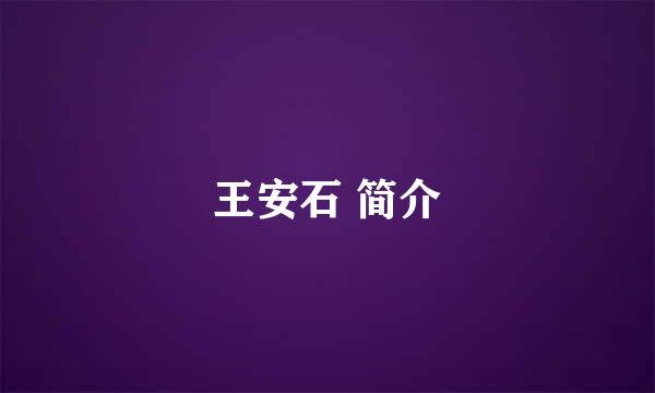 王安石 简介