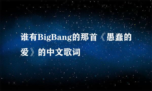 谁有BigBang的那首《愚蠢的爱》的中文歌词