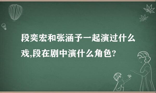 段奕宏和张涵予一起演过什么戏,段在剧中演什么角色?