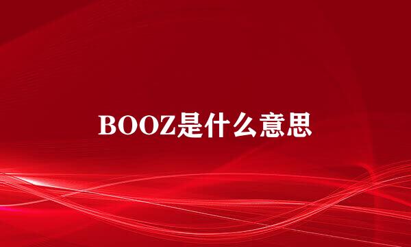 BOOZ是什么意思