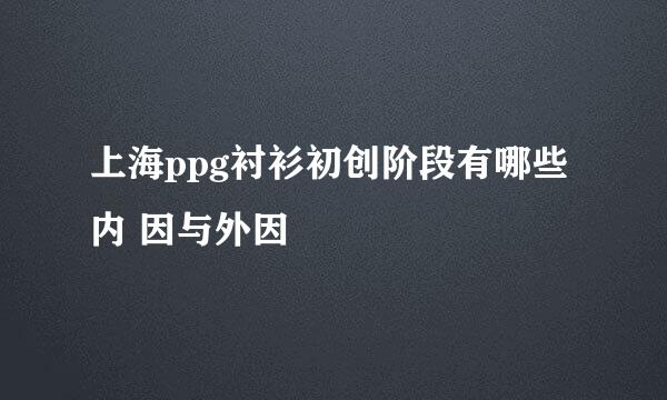 上海ppg衬衫初创阶段有哪些内 因与外因