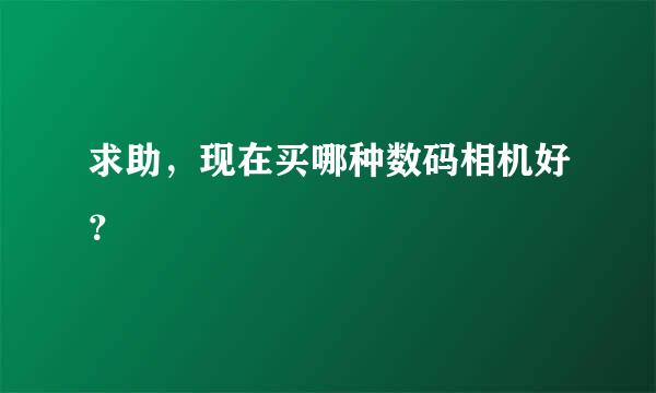 求助，现在买哪种数码相机好？