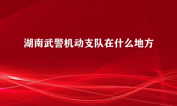 湖南武警机动支队在什么地方