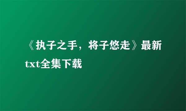 《执子之手，将子悠走》最新txt全集下载