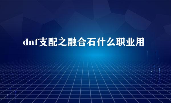 dnf支配之融合石什么职业用