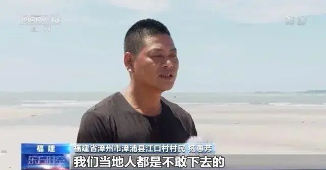 上海一家3口游玩时坠江溺亡，事情的来龙去脉是什么？