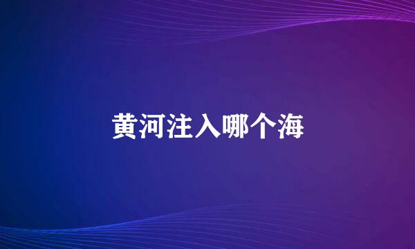 黄河注入哪个海