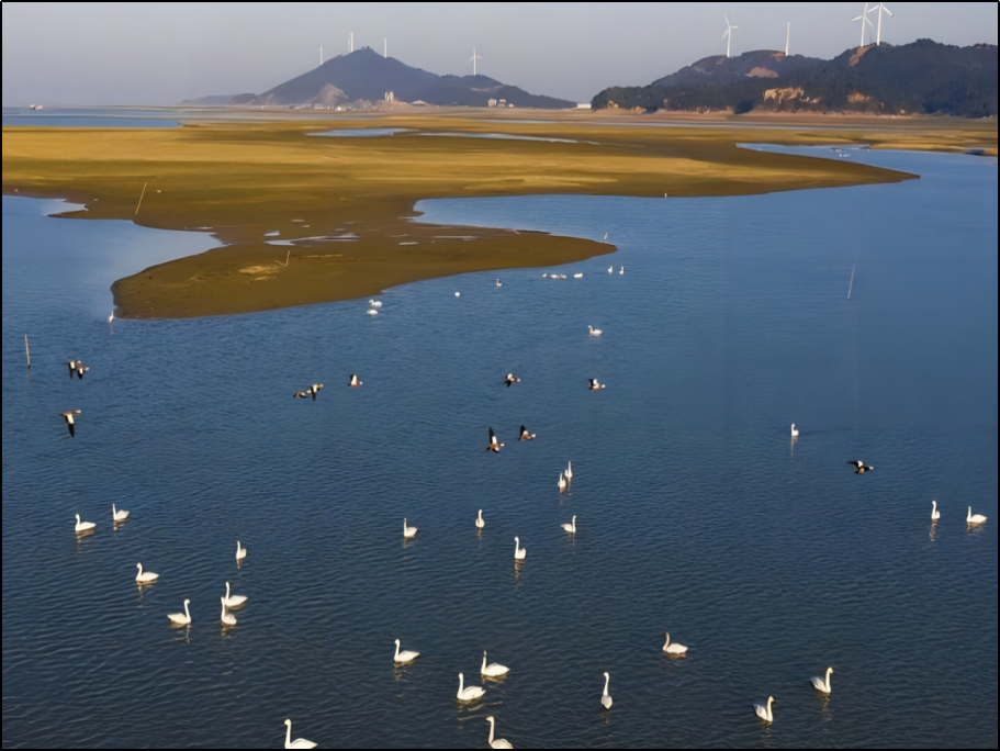 鄱阳湖在哪