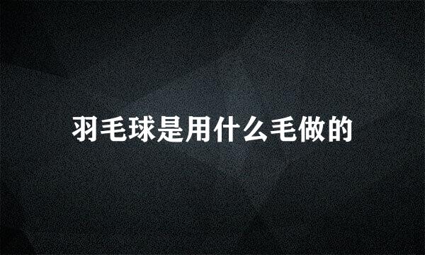 羽毛球是用什么毛做的