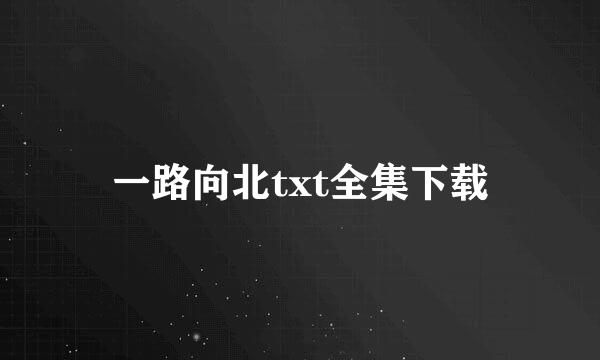 一路向北txt全集下载