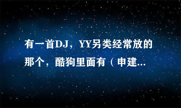 有一首DJ，YY另类经常放的那个，酷狗里面有（申建 - 伴奏终极另类伴奏）这首歌的名字叫什么啊？