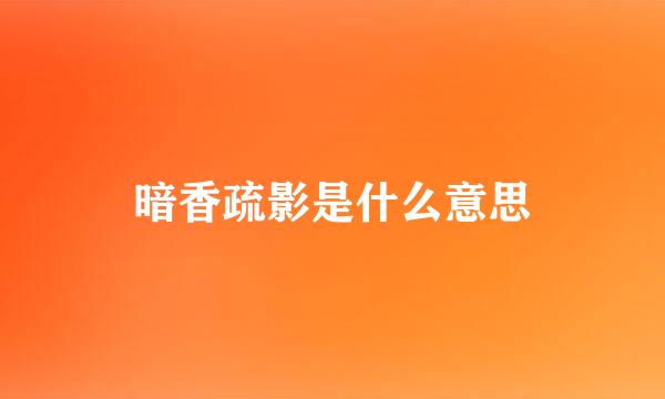 暗香疏影是什么意思