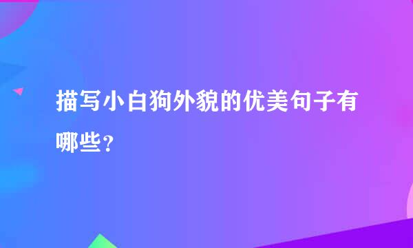 描写小白狗外貌的优美句子有哪些？