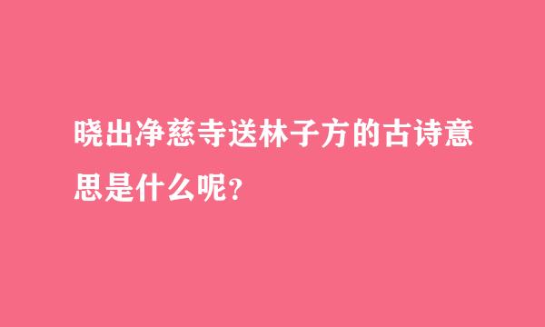 晓出净慈寺送林子方的古诗意思是什么呢？