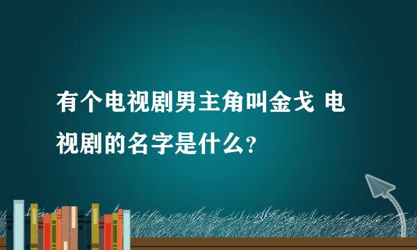 有个电视剧男主角叫金戈 电视剧的名字是什么？