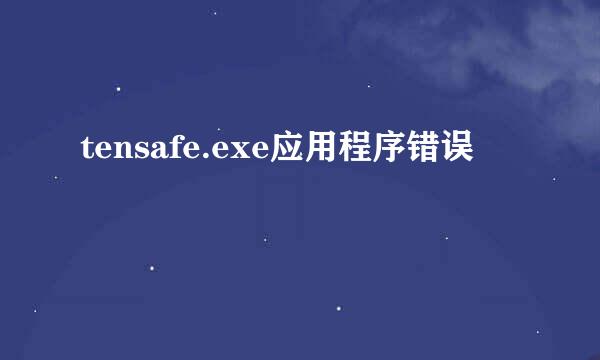 tensafe.exe应用程序错误