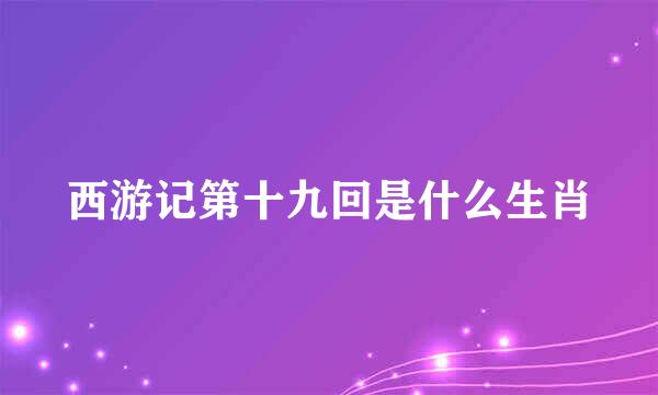 西游记第十九回是什么生肖