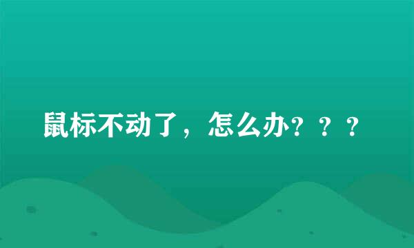 鼠标不动了，怎么办？？？