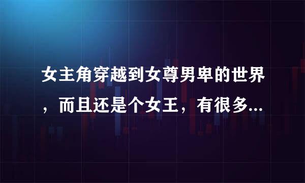 女主角穿越到女尊男卑的世界，而且还是个女王，有很多男人的那种小说。