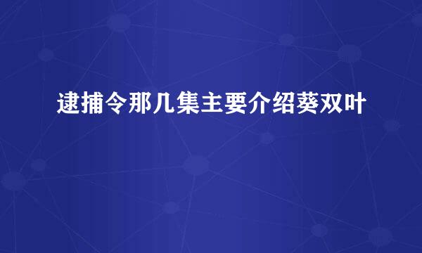 逮捕令那几集主要介绍葵双叶